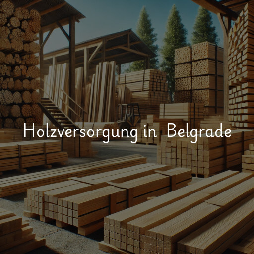 Holzversorgung in Belgrade